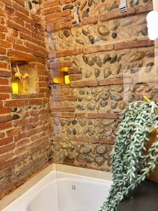 Cocon Cosy Dans La Ville Rose Тулуза Экстерьер фото
