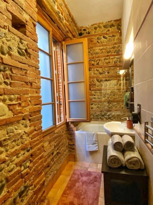 Cocon Cosy Dans La Ville Rose Тулуза Экстерьер фото