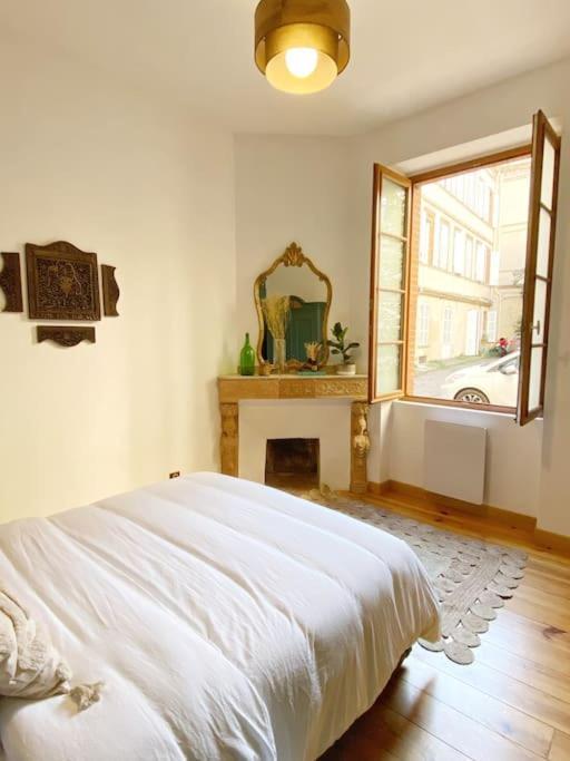 Cocon Cosy Dans La Ville Rose Тулуза Экстерьер фото